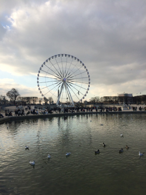 Jardin des Tuileries