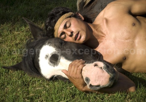 domptage-bamba-areco-750x525