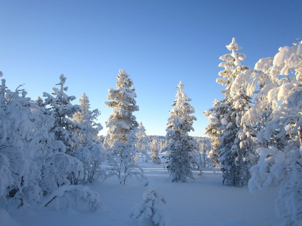 47. Laponie 2018 - Enontekio - EnMaudVoyages