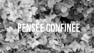 Pensée confinée